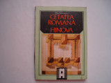 Cetatea romana de la Hinova - Misu Davidescu, 1989, Alta editura