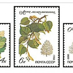 URSS 1980 - Flora, arbori, serie neuzata