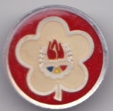 INSIGNA PIONIER Frumusetea prieteniei Aluminiu vopsit