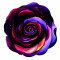 Sticker decorativ Trandafir, Multicolor, 61 cm, 7752ST