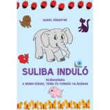 Suliba indul&oacute; - T&aacute;j&eacute;koz&oacute;d&aacute;s a mennyis&eacute;gek, terek &eacute;s form&aacute;k vil&aacute;g&aacute;ban - Bob&aacute;l R&oacute;bertn&eacute;