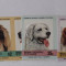 Bequia St. Vincent Grenadines 1985 Dogs, pairs, imperf., MNH S.145