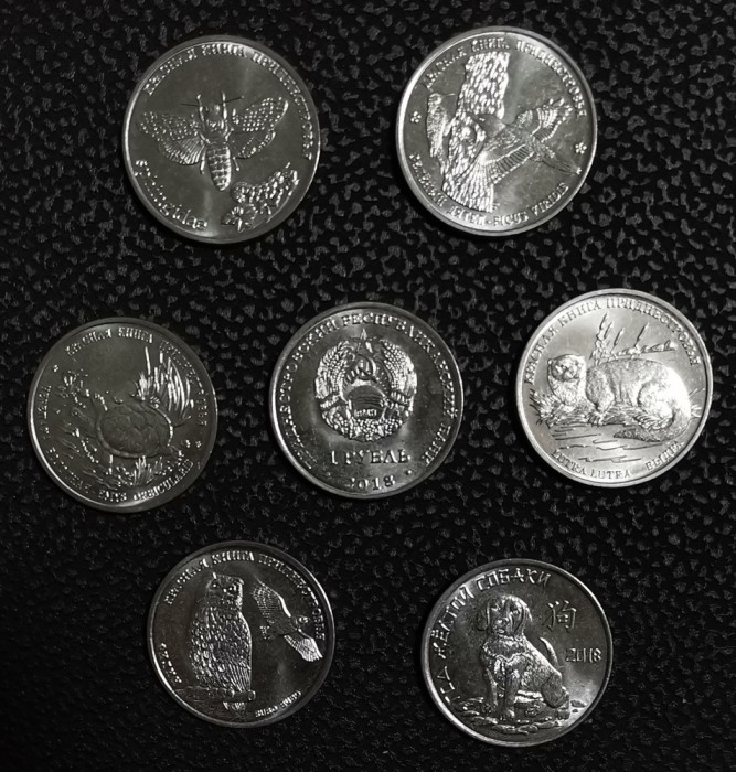 SV * Transnistria / MOLDOVA * SET 6 x 1 RUBLA 2018 * FAUNA * AUNC +