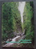 Ion Filipciuc (ed.) - &quot;Titanicul&quot; din Tihăria Rarăului (studii despre Bucovina)