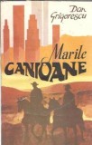 Marile Canioane, Dan Grigorescu, Carte 1991, Editura Labirint, Literatura Romana