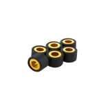 Role variator 17.9x13.8 13.5 grame RMS