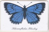 bnk card Cartele telefonice - Germania - fauna - insecte - fluturi