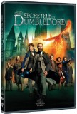 Animale Fantastice: Secretele lui Dumbledore / Fantastic Beasts: The Secrets of Dumbledore | David Yates
