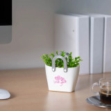 Decor plante artificiale - cos - 11,5 x 14 cm - 4 tipuri