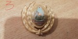 QW14 - Emblema militara / cuc - uscat - comunism - piesa de colectie