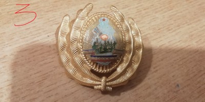 QW14 - Emblema militara / cuc - uscat - comunism - piesa de colectie foto