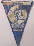 Cumpara ieftin PVM Fanion "Clubul Sportiv Universitar Targu Mures" panza (ceva murdarie) cusuta pe carton, acoperita cu folie din plastic pt. protectie / H: 19,50 cm