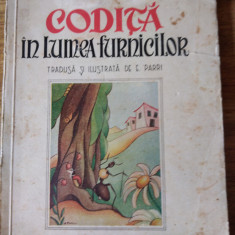 CODITA IN LUMEA Furnicilor-carte veche pentru copii 1944