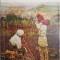 Bancila &ndash; Ruxandra Dreptu