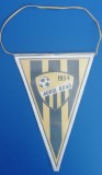 M3 C7 - Tematica cluburi sportive - Aurul Brad - 1934