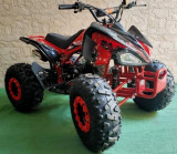 ATV KXD RAPTO, Tgb