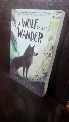 A wolf called wander - Rosanne Parry foto