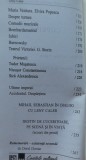 Fundatia Cartier pentru arta contemporana, Histoire de voir, arta naiva, 2012, album color de lux de dimensiuni mari