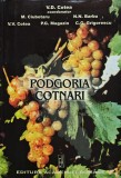 Cumpara ieftin Podgoria Cotnari - 2006 - Valeriu D. Cotea (B260)