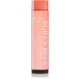 Burt&rsquo;s Bees Tinted Lip Balm balsam de buze culoare Zinnia 4.25 g