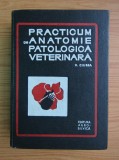 Practicum de anatomie patologica veterinara V. Ciurea