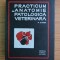 Practicum de anatomie patologica veterinara V. Ciurea