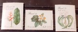 Brazilia 1989 flori, flora, plante ,serie 3v MNH, Nestampilat