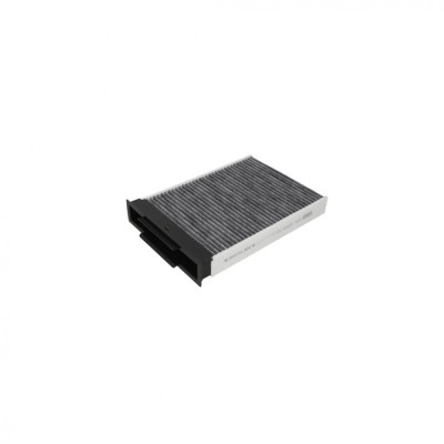 Filtru aer habitaclu RENAULT MEGE II (BM0/1_ CM0/1_) 2.0 16V (BM0U CM0U) 2002-2008 CORTECO 80000670 foto