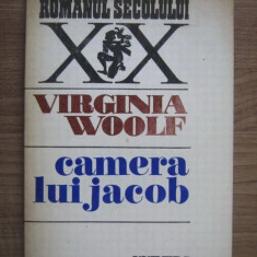 Virginia Woolf - Camera lui Jacob