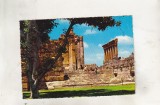 bnk cp Liban - Baalbeck - Vedere - necirculata - Kruger 987/111