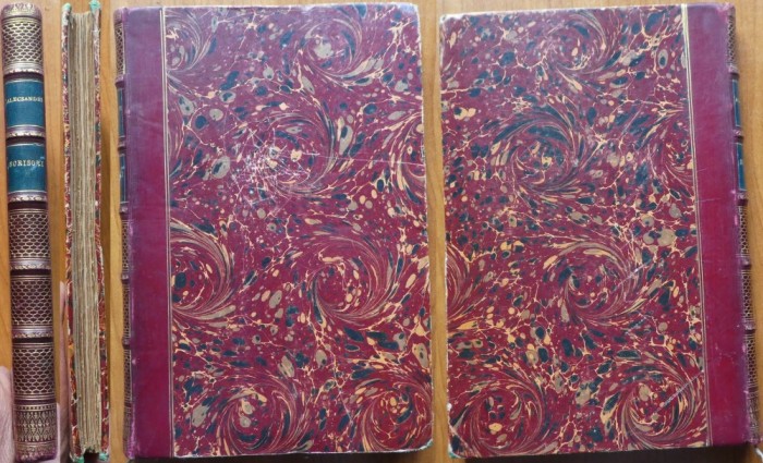 Vasile Alecsandri, Opere complete, Scrisori, 1904, legatura bibliofila