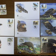 falkland - pasari - vultur - serie 4 timbre MNH, 4 FDC, 4 maxime, fauna wwf