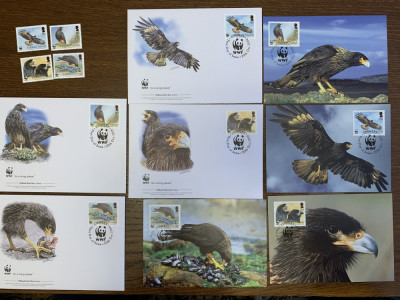 falkland - pasari - vultur - serie 4 timbre MNH, 4 FDC, 4 maxime, fauna wwf foto