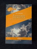 Psihologia sinergetica &ndash; Ion Manzat