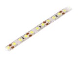 Bandă LED alb rece 2835 120 LED/m 8mm IP20 6W/m 2mm