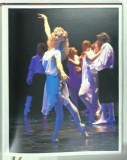 ROYAL FASHION, MODA REGALA de DAN PURIC, 2011, DEDICATIE