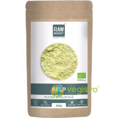 Kelp Pudra Ecologica/Bio 250g