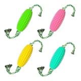 Set 4 jucarii pentru caini, de mestecat, multicolor