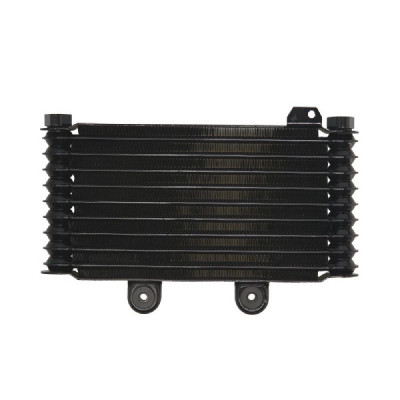 RADIATOR SUZUKI GSF 600 650 1995 2006 foto