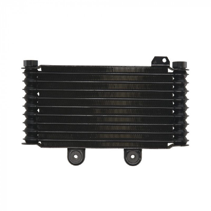 RADIATOR SUZUKI GSF 600 650 1995 2006