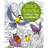 Colour by Numbers Birds &amp; Butterflies
