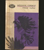 Cumpara ieftin MICUL VULTUR - EDMOND ROSTAND - BPT