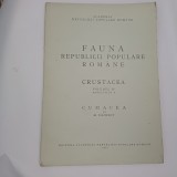 FAUNA R.P.R.CRUSTACEA VOL.IV FASCICULA 1 CUMACEA- MIHAI BACESCU-1951 R4.