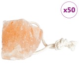 vidaXL Pietre sare de lins, 50 buc. roz sfori animale de fermă 6,25 kg