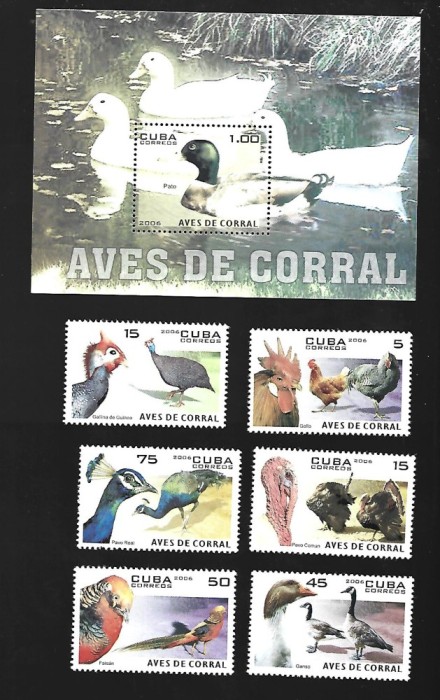 cuba pasari mnh