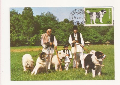 CA10 - Carte Postala - Ciobanesc Mioritic si Carpatin, circulata 1983 foto