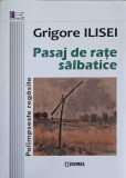 Pasaj de Rate Salbatice. Palimpseste Regasite - Grigore Ilisei, Junimea, 2018, Roman, Beletristica, 211 pagini