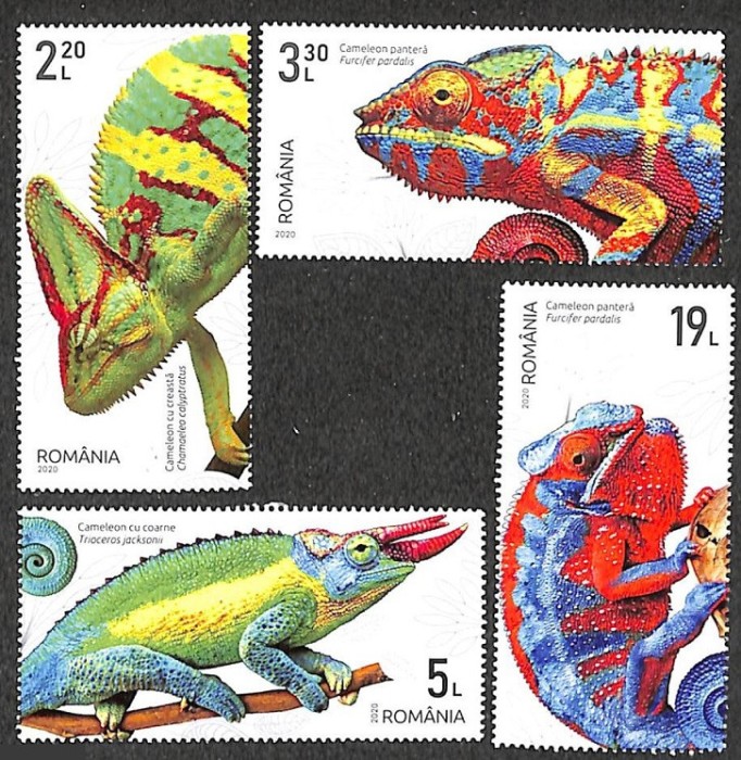 Fauna, cameleoni, 2020, LP 2302, MNH