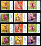 Romania 2007, LP 1758 a + LP 1758 b, Orhidee salbatice din Romania, seriile cu TABS Romana + Engleza, MNH! RARE!!!