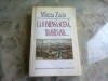 CA O IMENSA SCENA, TRANSILVANIA - MIRCEA ZACIU